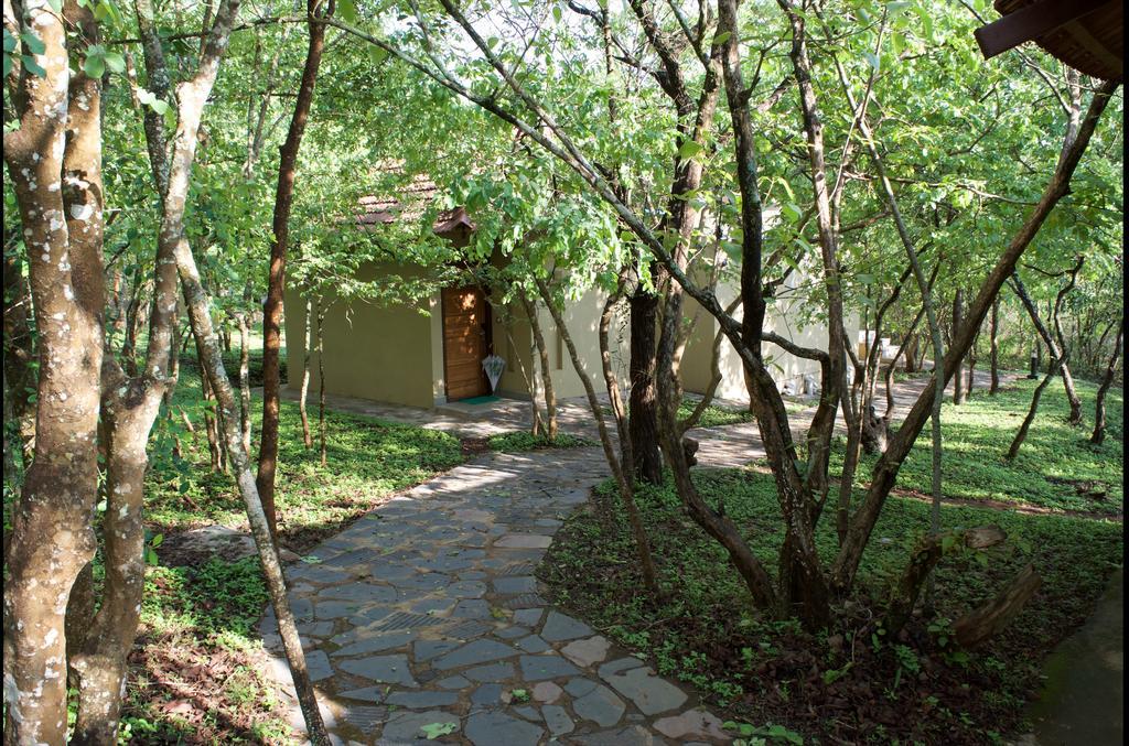 The Windflower Jungle Resort & Spa, Bandipur Ngoại thất bức ảnh