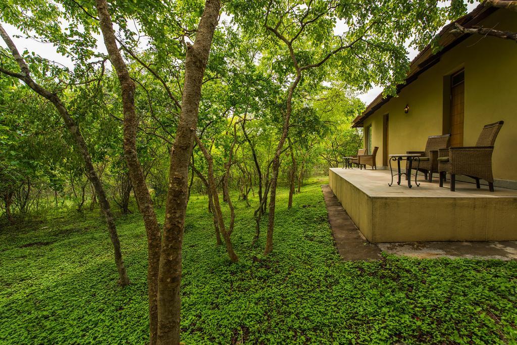 The Windflower Jungle Resort & Spa, Bandipur Ngoại thất bức ảnh