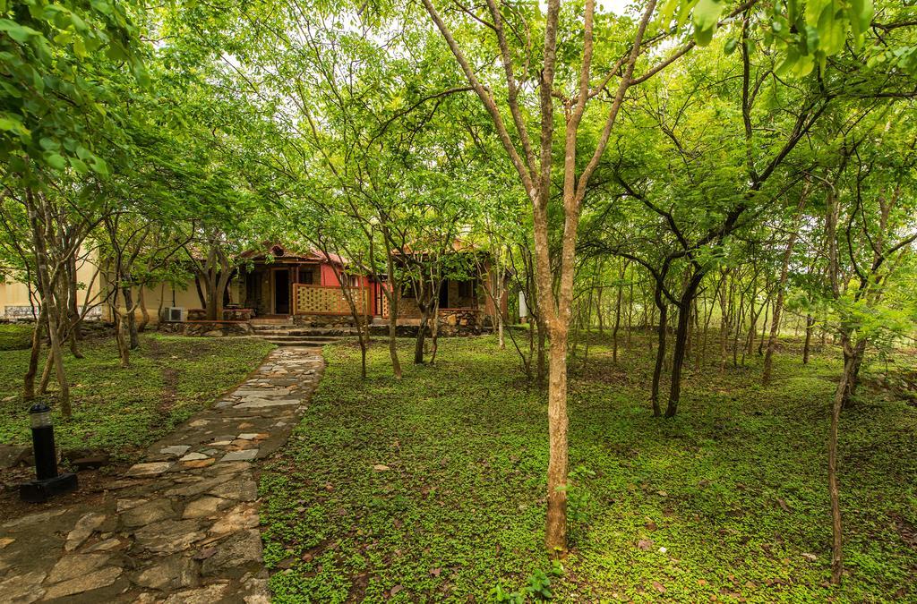 The Windflower Jungle Resort & Spa, Bandipur Ngoại thất bức ảnh