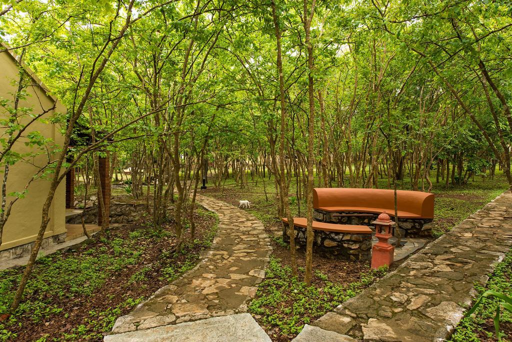 The Windflower Jungle Resort & Spa, Bandipur Ngoại thất bức ảnh