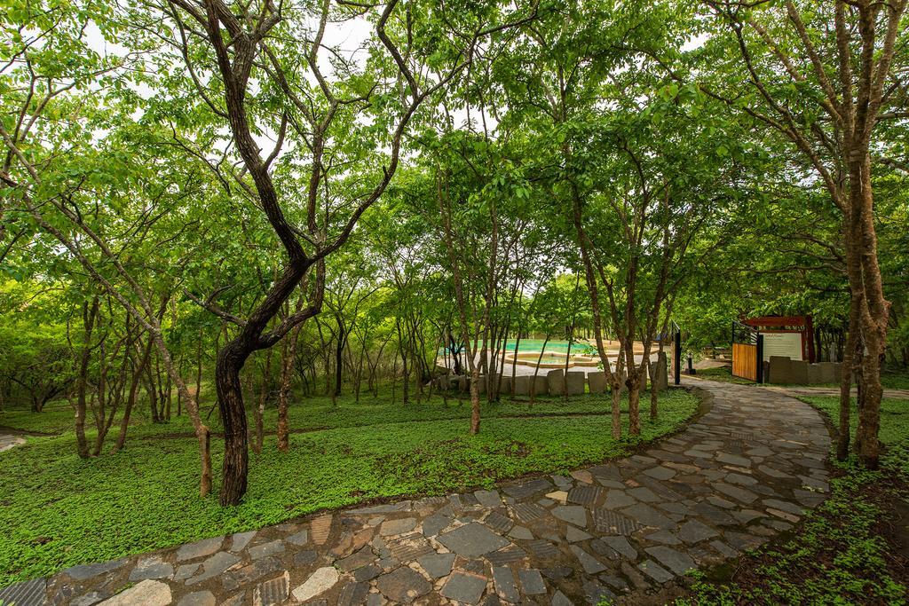 The Windflower Jungle Resort & Spa, Bandipur Ngoại thất bức ảnh