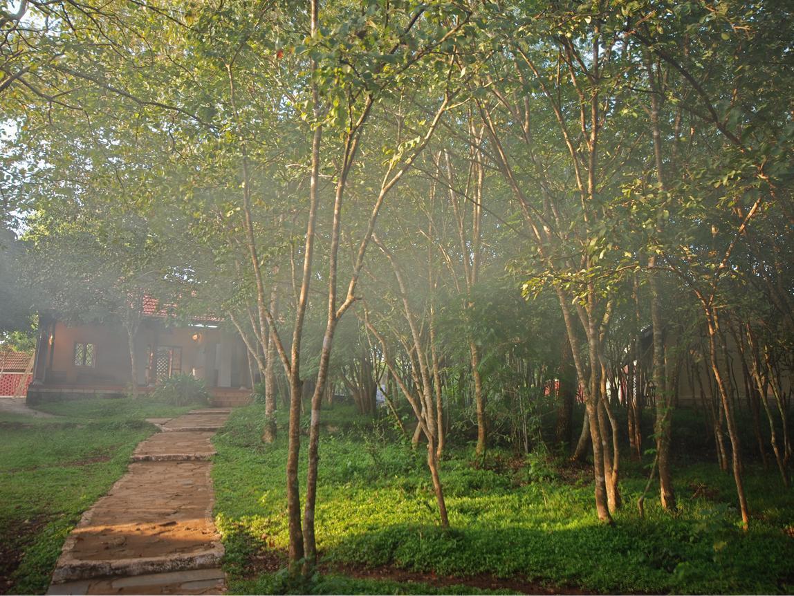 The Windflower Jungle Resort & Spa, Bandipur Ngoại thất bức ảnh